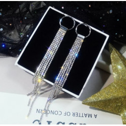 Σκουλαρίκια