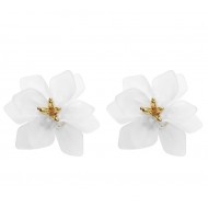 Σκουλαρίκια