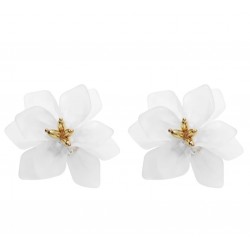 Σκουλαρίκια Σκουλαρίκια